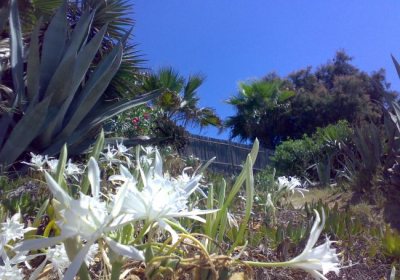 Casa Vacanze Villa Azzurra